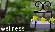 Idaho Wellness Deals and specials