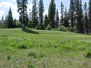 Picture of the Kovalicky in McCall, Idaho