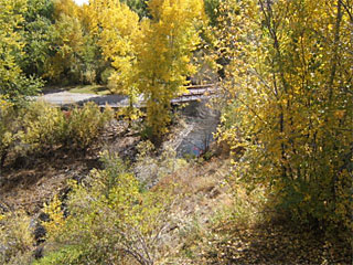 Picture of the Cottonwood in Sun Valley, Idaho