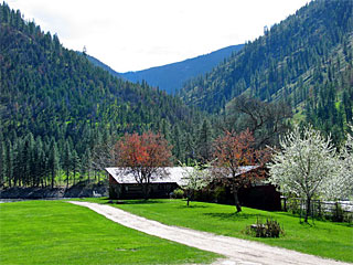 Picture of the Shepp Ranch in Riggins, Idaho