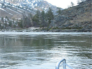 Picture of the Shepp Ranch in Riggins, Idaho