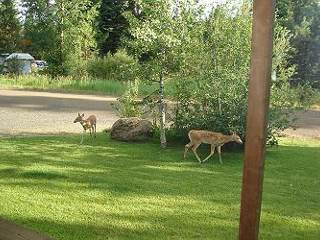 Picture of the Casa Del Carmen in McCall, Idaho