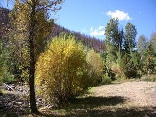 Picture of the Cross Cut Cabin in Sun Valley, Idaho