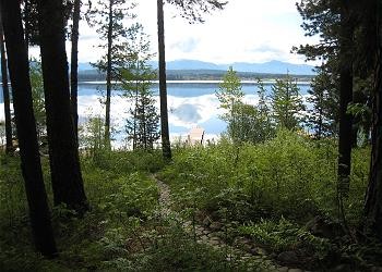 Picture of the Avery West Shore in McCall, Idaho