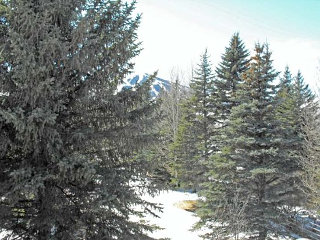 Picture of the Dollar Meadows in Sun Valley, Idaho