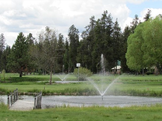 Picture of the Timber Green in McCall, Idaho