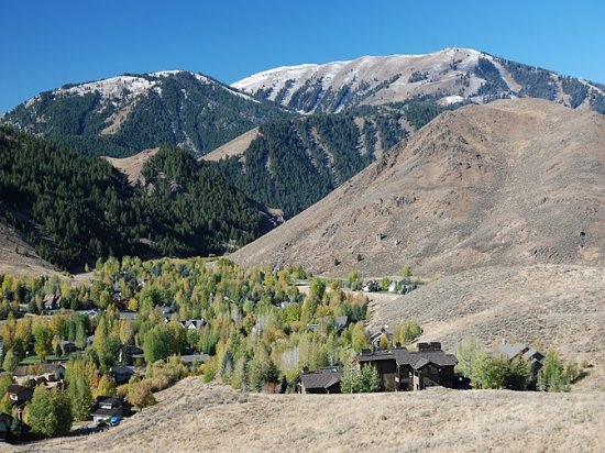 Picture of the 210 Lupine in Sun Valley, Idaho