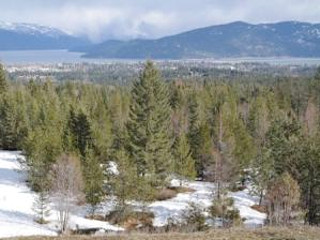 Picture of the Baldy Mtn. View Home in Sandpoint, Idaho