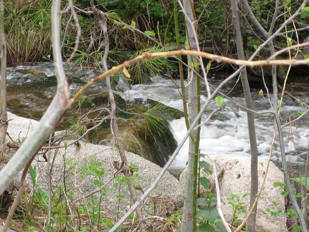 Picture of the Hideaway in Garden Valley, Idaho