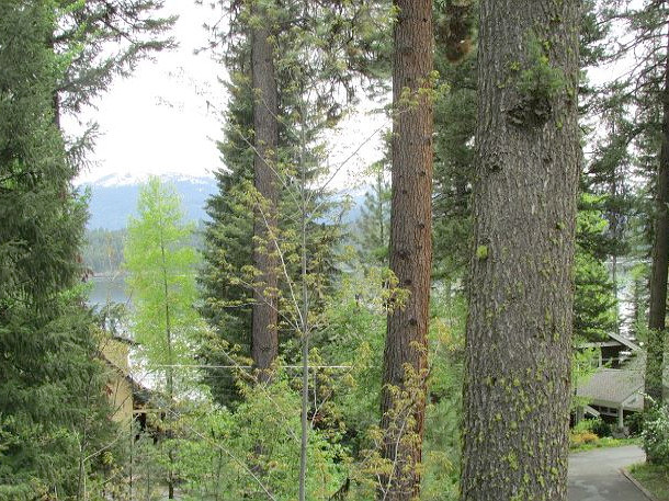 Picture of the Cabina Di Lago in McCall, Idaho