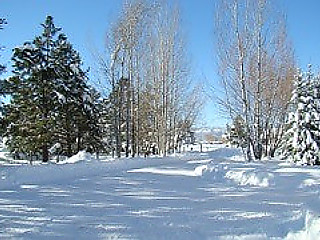 Picture of the Turner Lane Cabin in McCall, Idaho