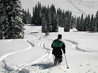 Picture of the Brundage Mountain Resort in McCall, Idaho