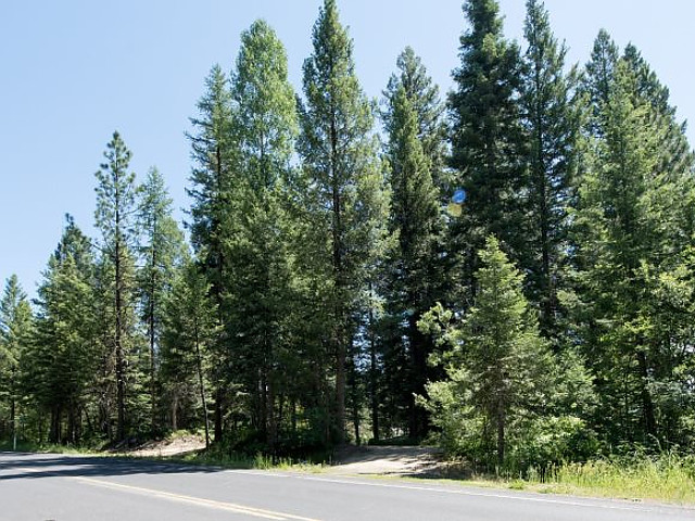 Picture of the Sharlies Nest in McCall, Idaho