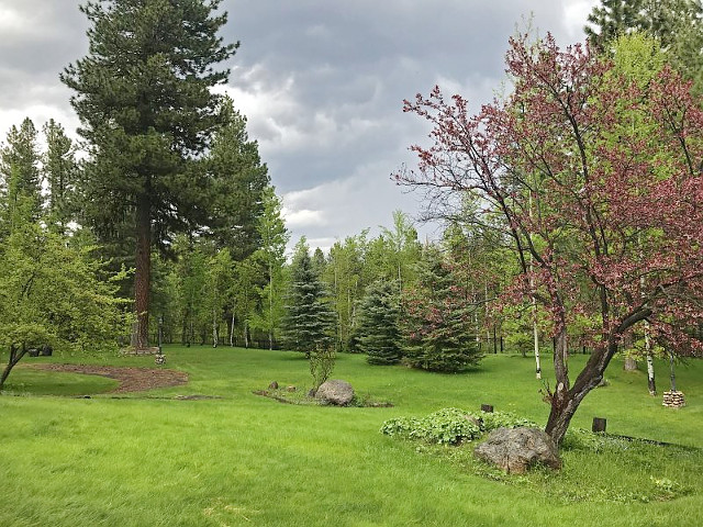 Picture of the Seasons at McCall in McCall, Idaho