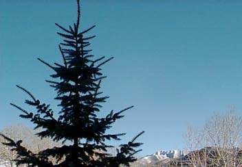 Picture of the Christophe Condominiums in Sun Valley, Idaho