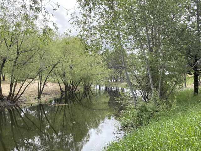 Picture of the Twilight Lake in Donnelly, Idaho