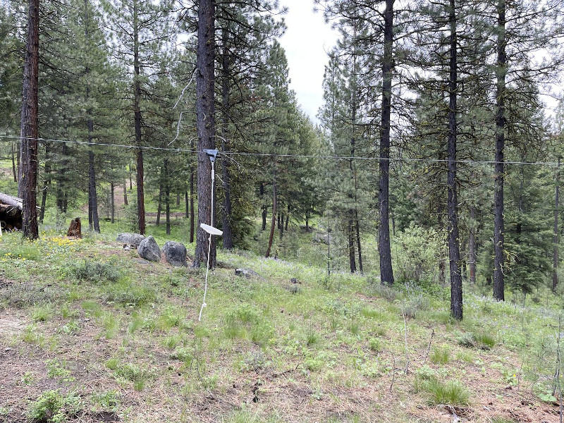 Picture of the The Treehouse in Donnelly, Idaho