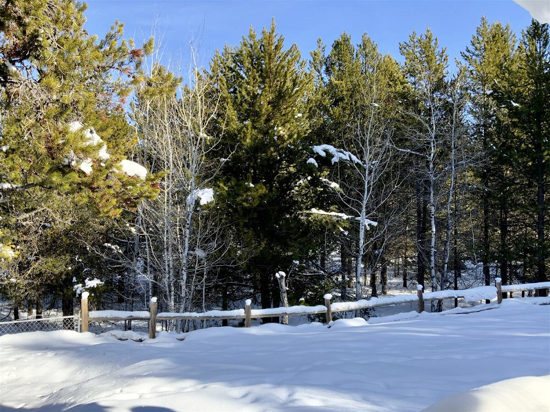 Picture of the Peace Tree Place in Cascade, Idaho