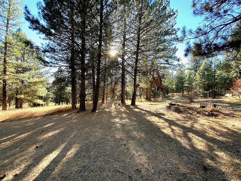 Picture of the Ponderosa in Cascade, Idaho