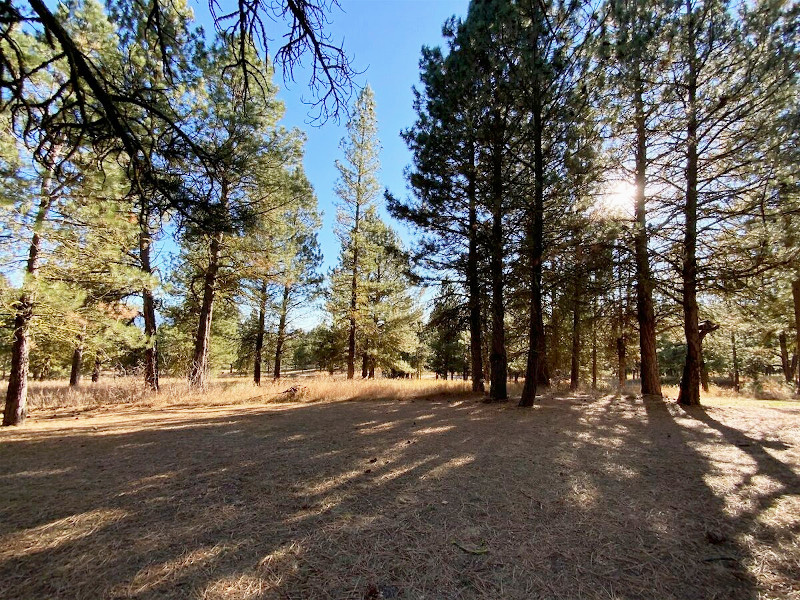 Picture of the Ponderosa in Cascade, Idaho