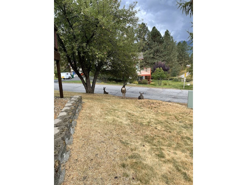 Picture of the Above Par in Cascade, Idaho