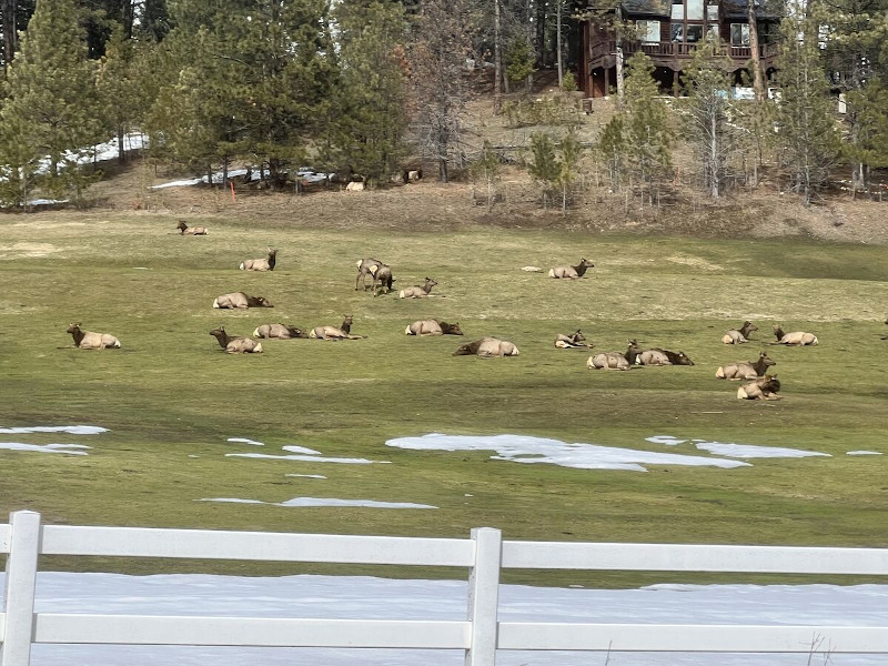 Picture of the Slice of Heaven in Garden Valley, Idaho