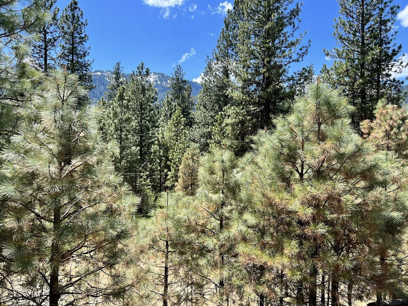 Picture of the Warm Springs Hideout in Garden Valley, Idaho