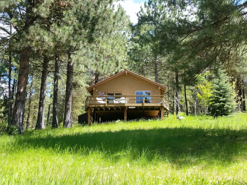 Picture of the Pine Cone Cabin in Cascade, Idaho