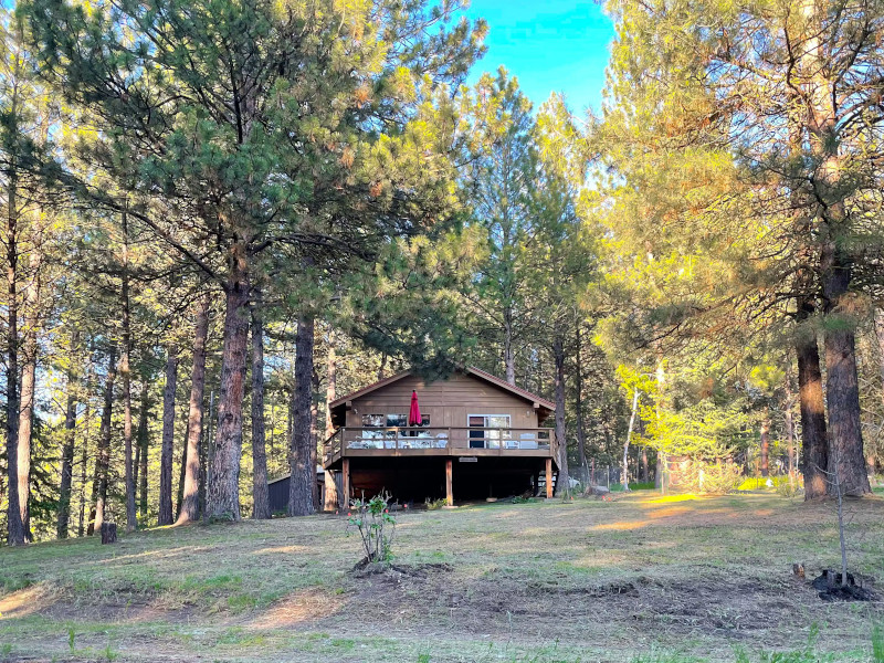 Picture of the Pine Cone Cabin in Cascade, Idaho