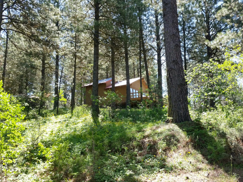 Picture of the Pine Cone Cabin in Cascade, Idaho