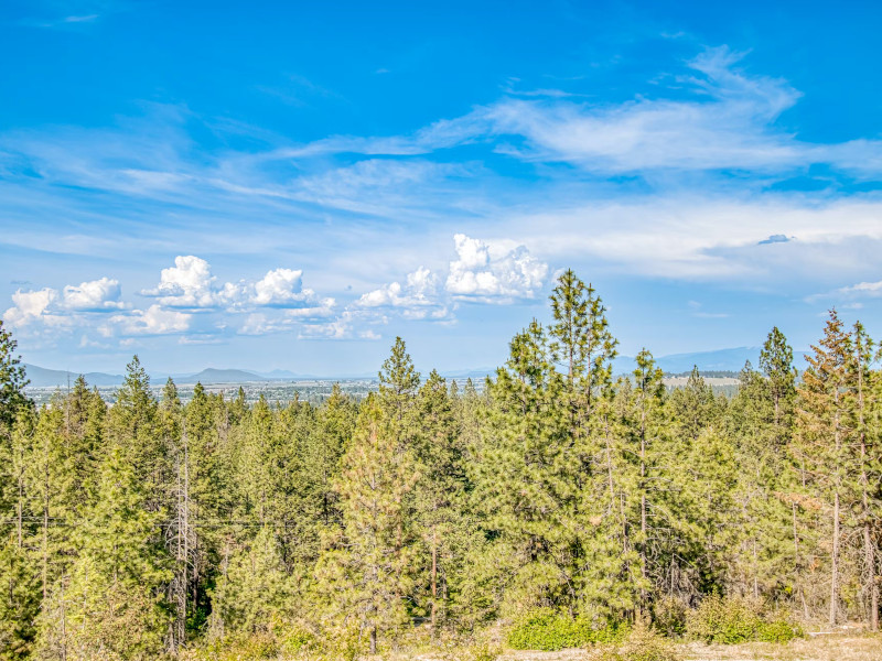 Picture of the Tanglewood Retreat in Post Falls, Idaho