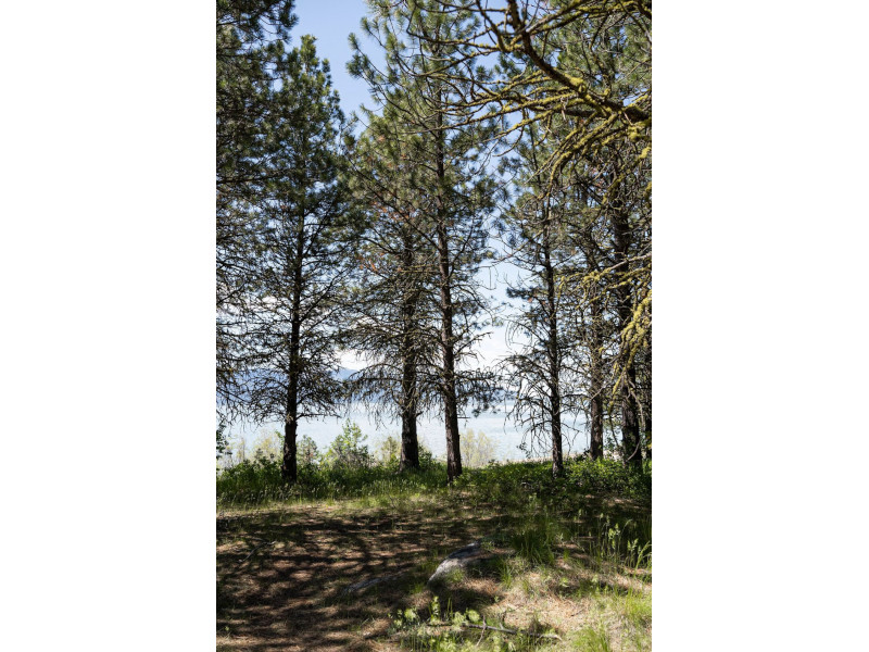 Picture of the The Lodge on Shore Drive in Cascade, Idaho