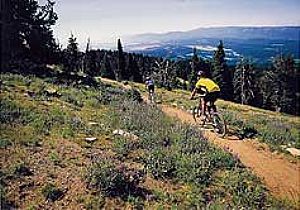 Brundage mountain biking hot sale