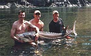 Snake River Steelhead Fishing - Hells Canyon Fishing Guides